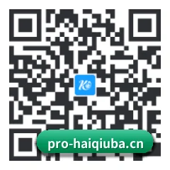 APP 安卓 二维码