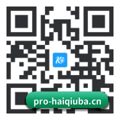iPhone APP 二维码